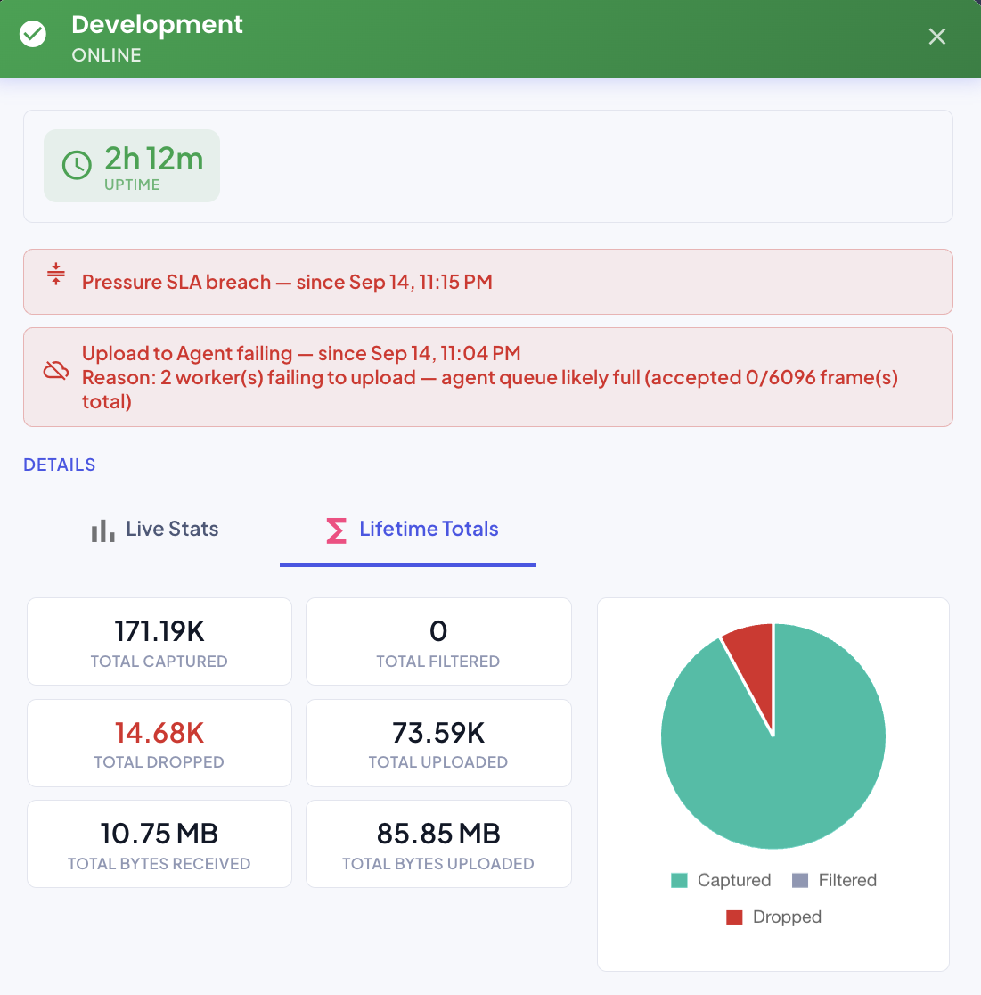 Environment detail — Lifetime Totals tab