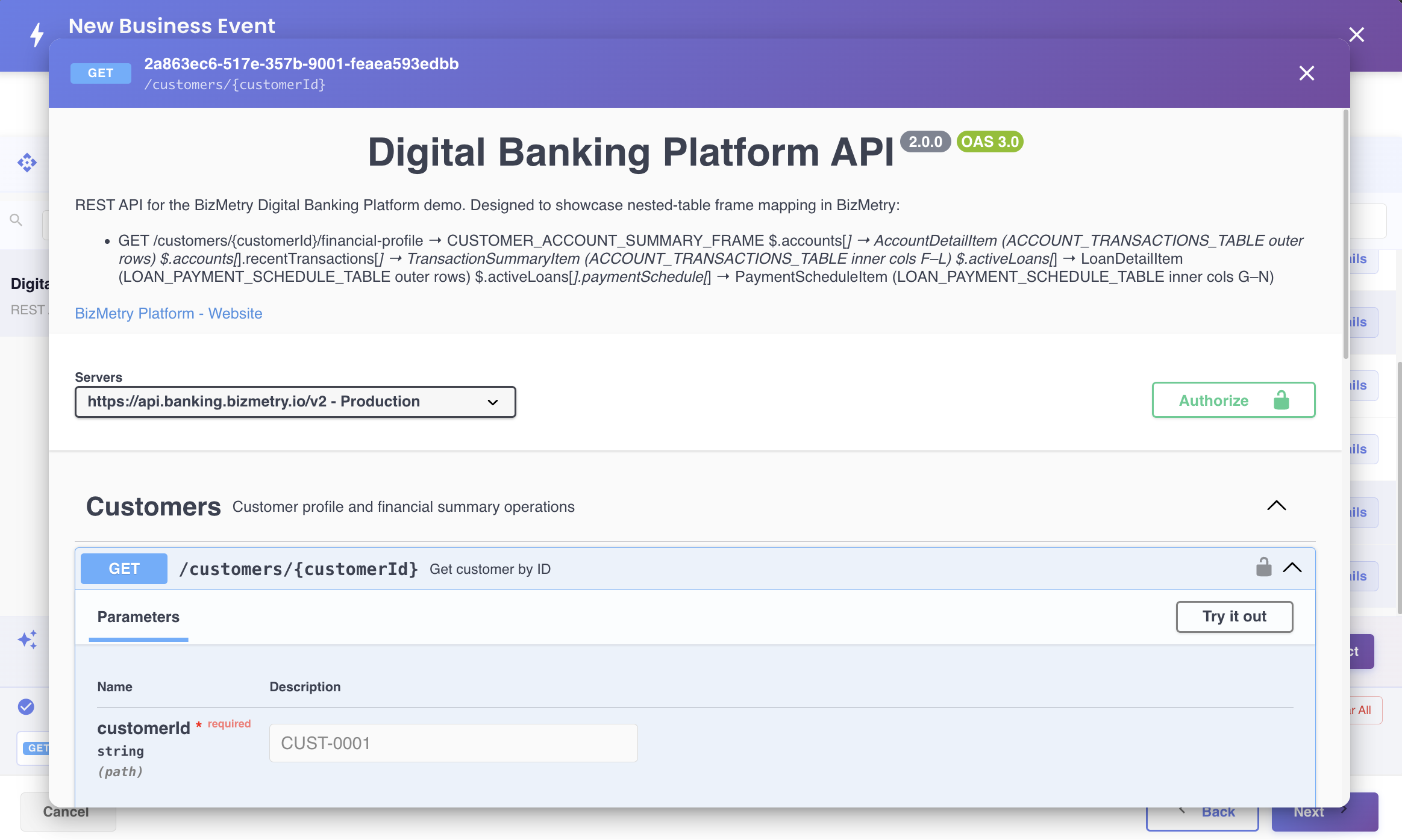 Accessing API operation details