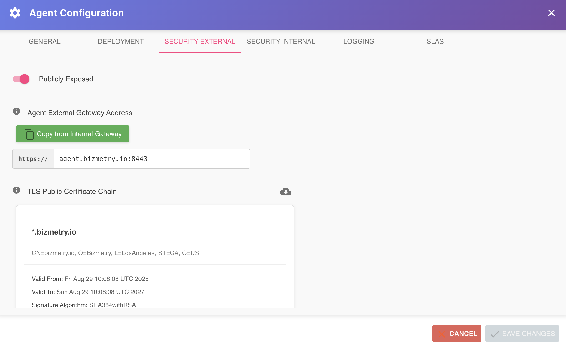 Agent Configuration Dialog — Security External Tab