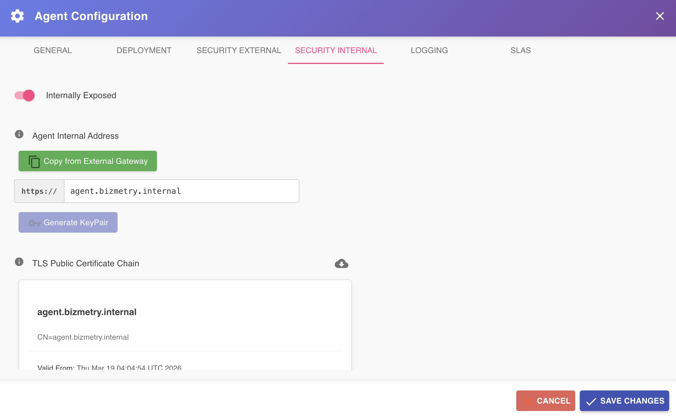 Agent Configuration Dialog — Security Internal Tab
