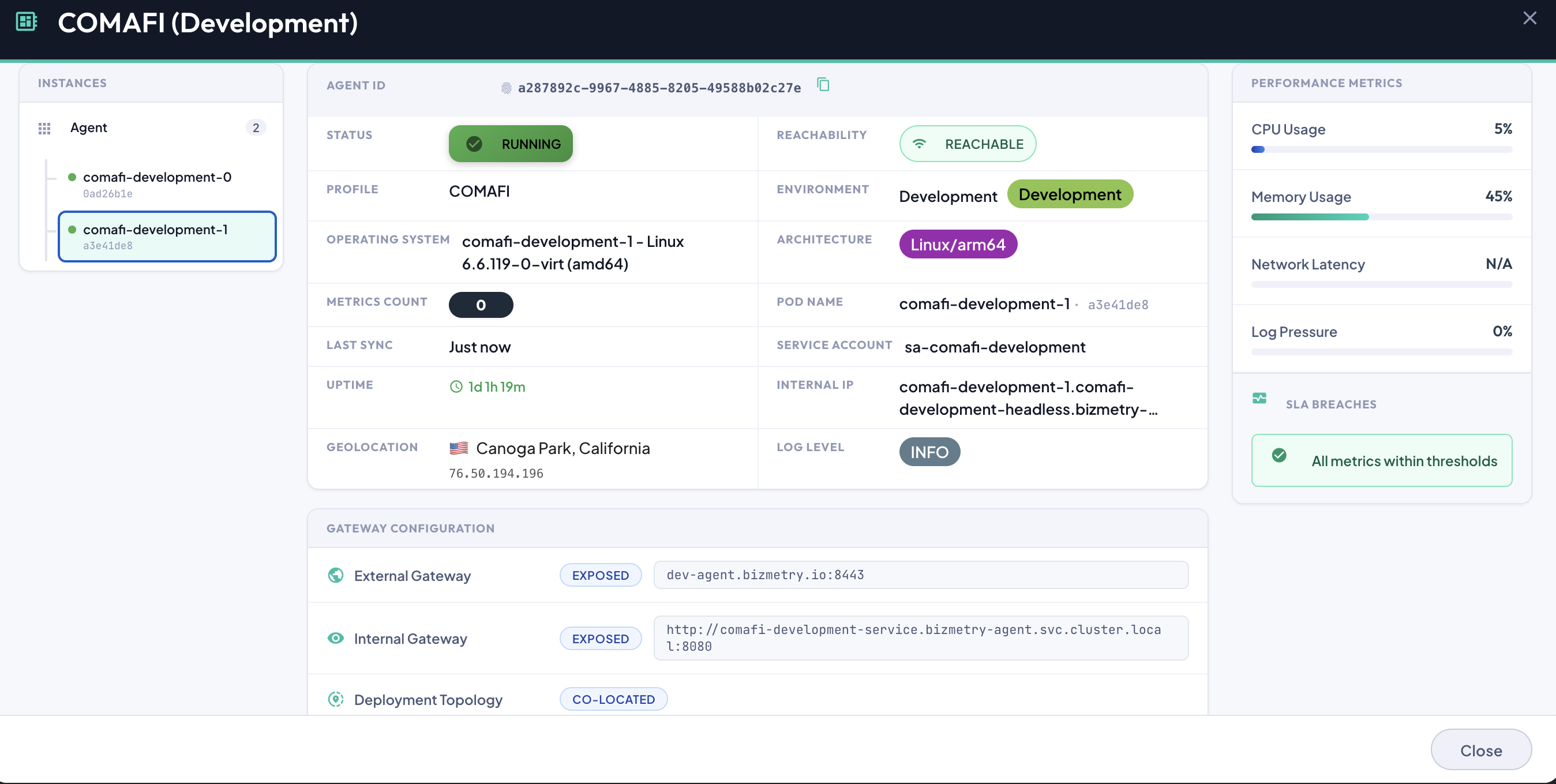 Agent Details dialog — a specific instance selected